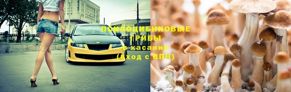мяу мяу мука Майский
