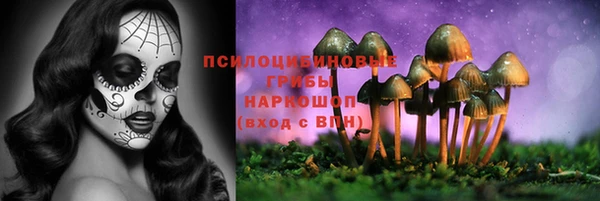 мяу мяу мука Майский