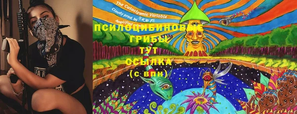 mdpv Лиски