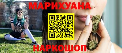 гидра Заводоуковск