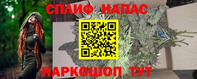 гидра Заводоуковск
