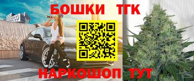 гидра Заводоуковск