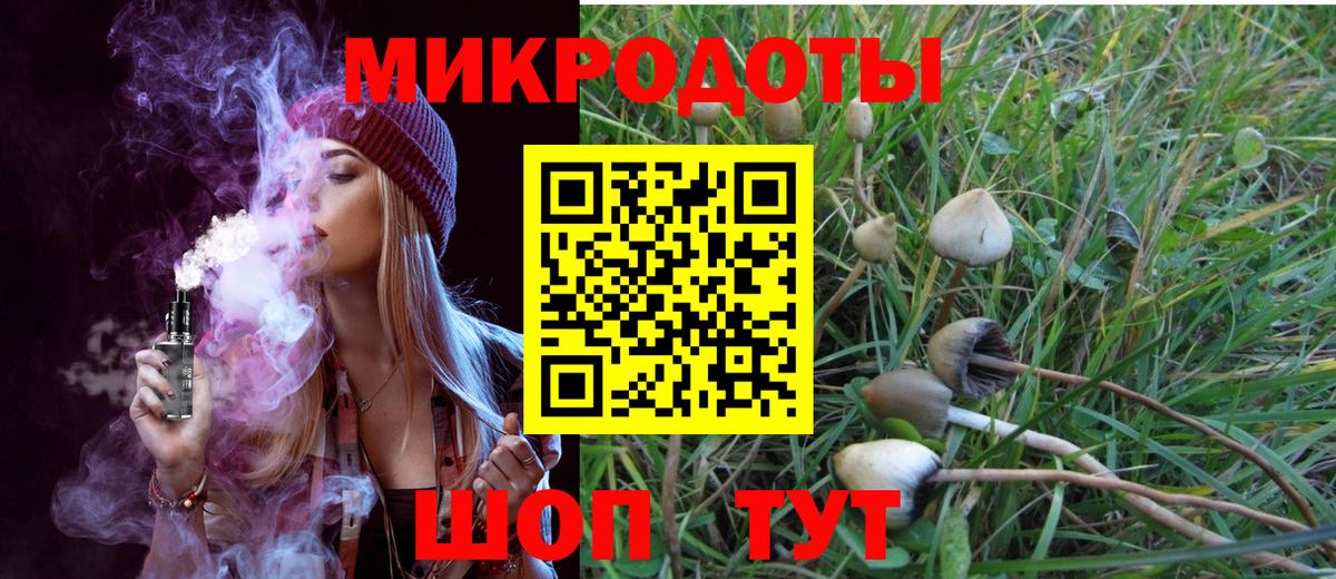 Галлюциногенные грибы GOLDEN TEACHER Михайловск