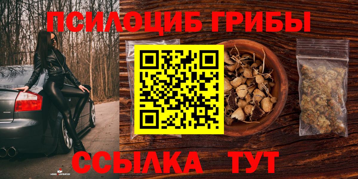 Галлюциногенные грибы мицелий  Галлюциногенные грибы Psilocybine cubensis  Вход с VPN  Михайловск 
